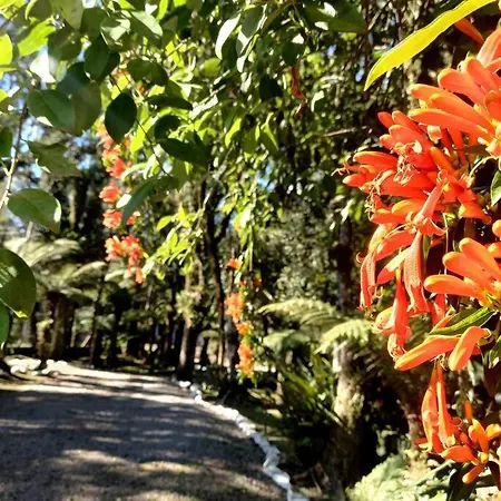 Cabana Alpina para famílias amantes da natureza :)-3